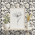 Paloma: Petal Theory