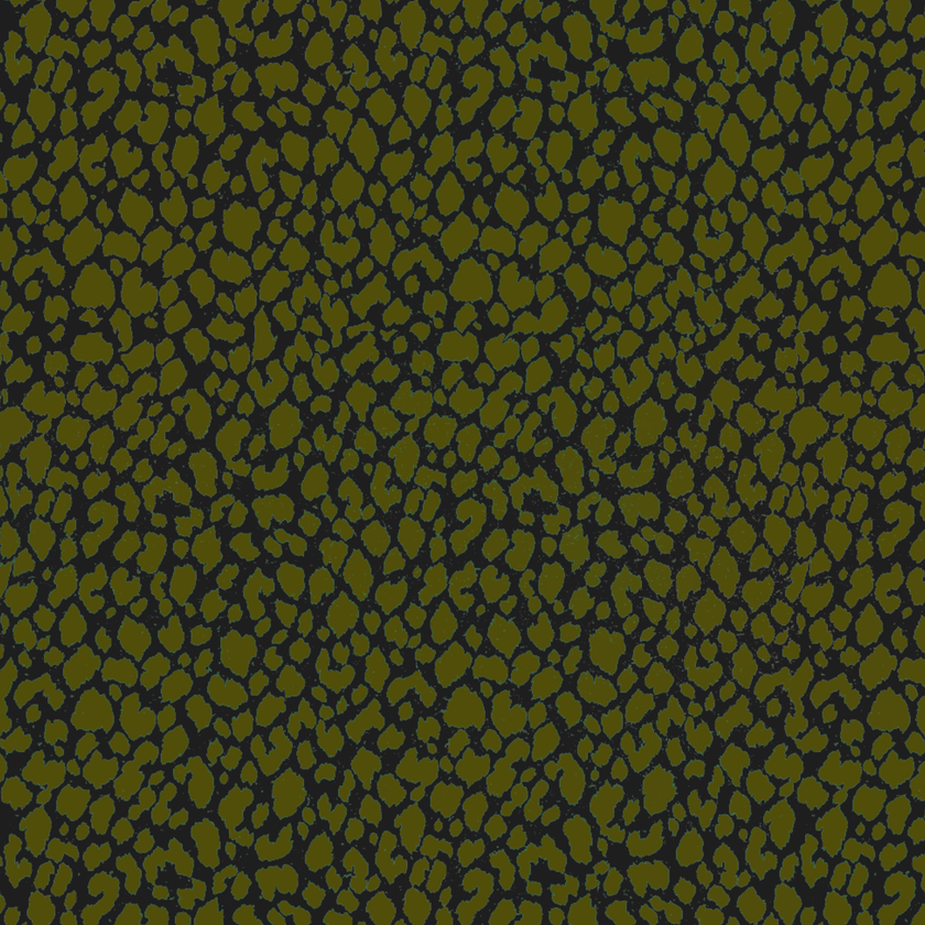 Blaire: Jungle Dot